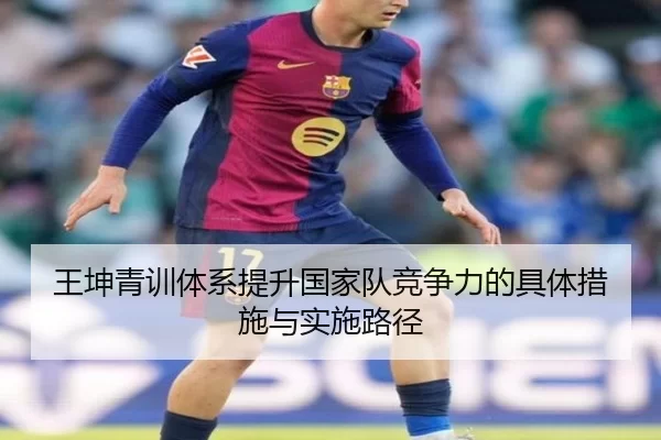 王坤青训体系提升国家队竞争力的具体措施与实施路径